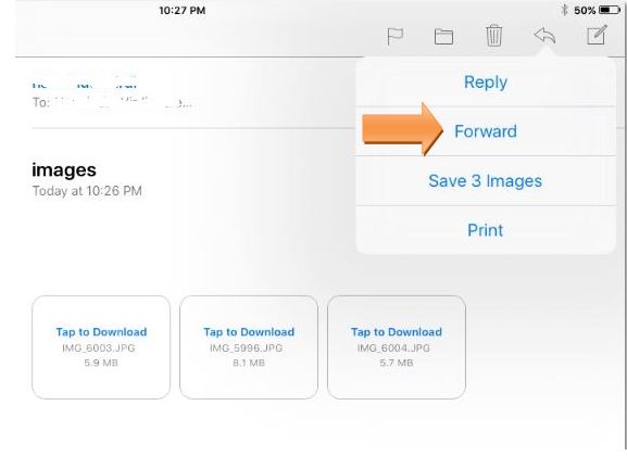 resize image when emailing from iPad - forward